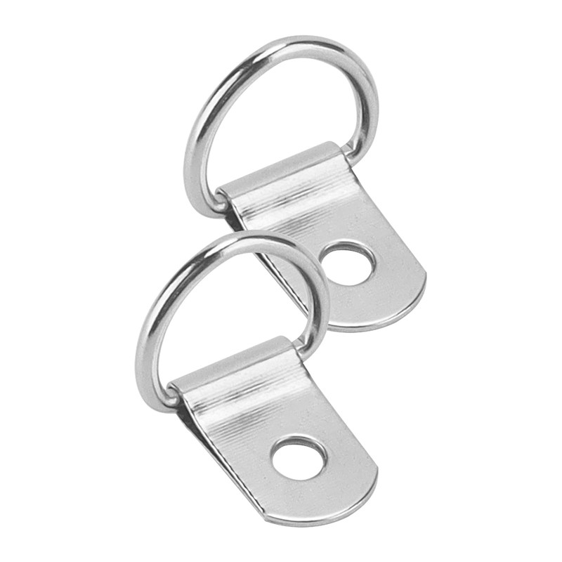 100 PCS D Rings Hooks, D Rings Picture Hangers with