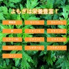 Lipsa Wormwood Green Juice Capsule, Approx. 3 Months Supply x