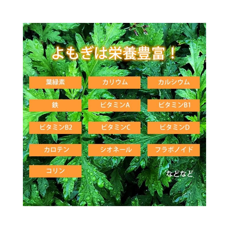 Lipsa Wormwood Green Juice Capsule, Approx. 3 Months Supply x