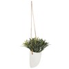 ATMOSPHERA CREATEUR D'INTERIEUR Hanging wall plant H20