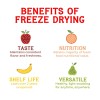 Nature’s Turn Gluten-Free Freeze-Dried Pear Crisps - 12 Portable Fruit