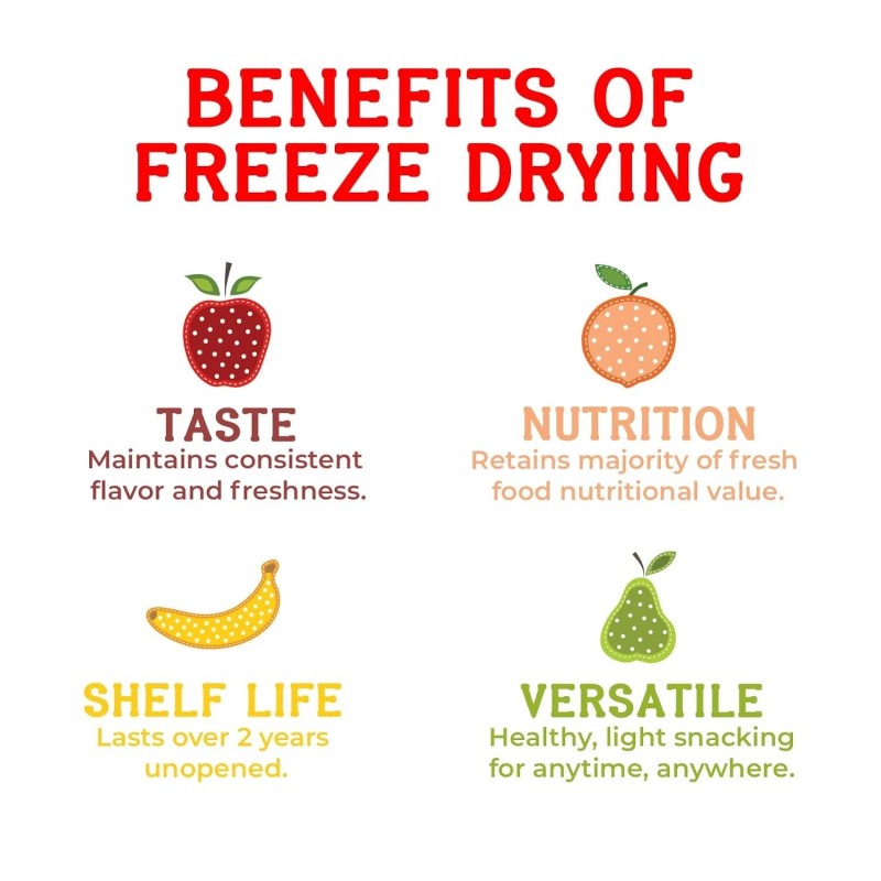 Nature’s Turn Gluten-Free Freeze-Dried Pear Crisps - 12 Portable Fruit