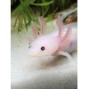 AQUATICBLENDEDFOODS Axolotl Food Soft Moist Sinking Pellets for Axolotls,5/32" 4.0mm