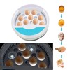 Automatic Hatching Egg, Incubator, 9 Eggs for Birds, Built-in Eggs