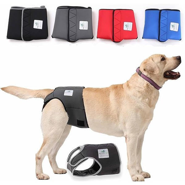 Male Incontinence Pants / Dog Protective Trousers Made from High-Quality
