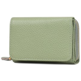 RRANCharltu Women's Small Purse Women's Small Purse Women's Small Wallet Women's with Many Card Holders RFID Protection with Zip with Coin Compartment Mini Purse, Green, Classic