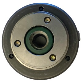 TAOTAO 6 POLE STATOR MAGNETO ROTOR FLYWHEEL for TAOTAO 125cc CHEETAH TFORCE ATV QUAD