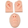 3D Nose and Mouth Model Silicone Ear Model Simulation Display