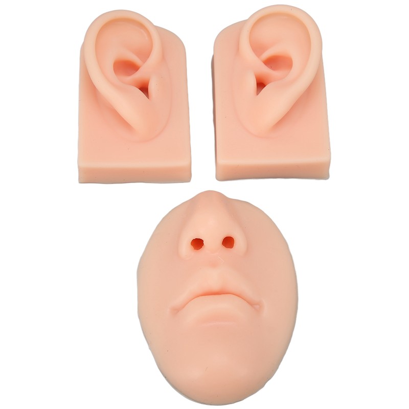 3D Nose and Mouth Model Silicone Ear Model Simulation Display