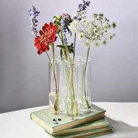 Two's Company Connected Tube Flower Vase, 6-Inch, Glass, Clear, Set of 9