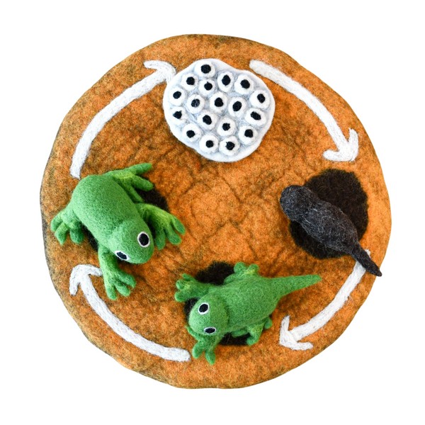 Tara Treasures Felt Lifecycle of Frog, Frogs with Lifecycle Mat