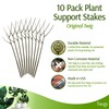 Twigs GA - Plant Support Stakes, Stem Holder Structures for