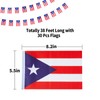 Puerto Rico Flags Puerto Rican Small String Mini Flag Pennant