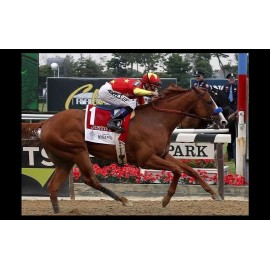 Justify Belmont Stakes PHOTO Horse Race Triple Crown Winner 2018 Kentucky Derby