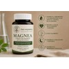 Magnea Citrato De Magnesio 450mg 30 Cápsulas