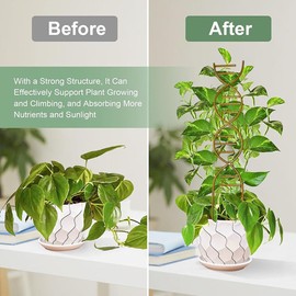 Indoor Plant Trellis for Climbing Plants, 16inch Small Garden Metal Trellis for Potted Plants Flower Pergola Suitable for Climbing Plants, for Vine Ivy Flower Plant Support (2 Pcs)