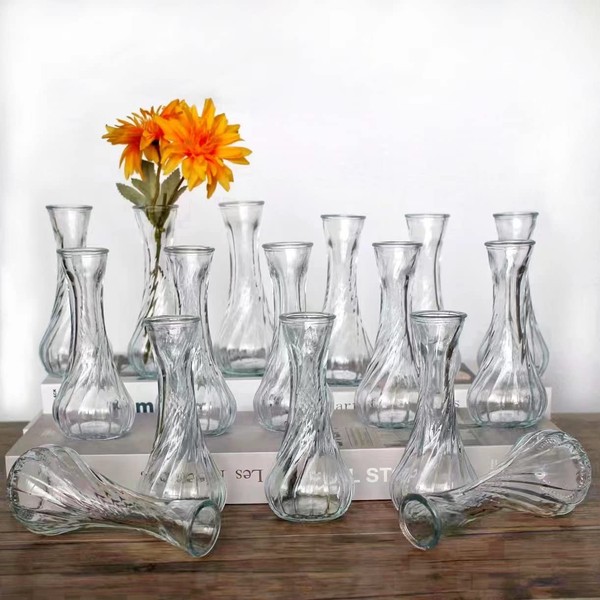 Sandraheer Glass Bud Vases in Bulk Set of 16, Small