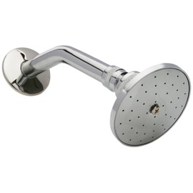 URREA 298B Regadera con Brazo y Chapetón