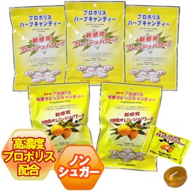高濃度プロポリス配合 プロポリスキャンディー のど飴 ノンシュガー 個包装 (ハーブ3袋・オレンジ2袋)