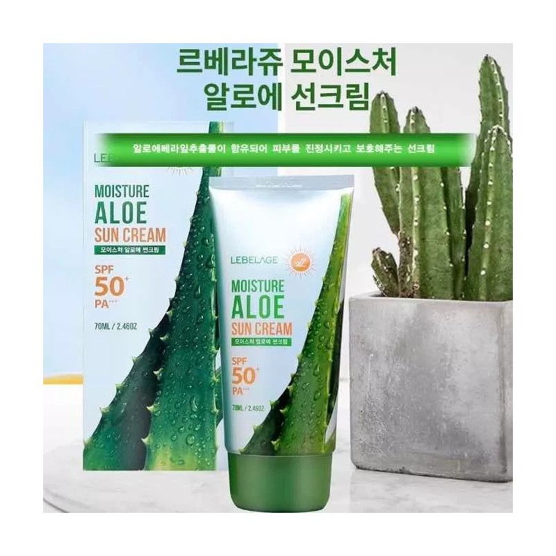 Bidameun Crema Protector Solar Coreano / Áloe Vera Spf50+ Pa+++
