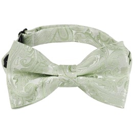 Alizeal Boys Adjustable Fashion Paisley Floral Strapped Pre-tied Kids Bow Tie, Sage Green