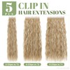 SEGO 60 cm clip-in extensions, 5-piece set, 17 clips, like