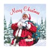 Eurowrap Pack of 12 Assorted Christmas Cards Xmas Traditional Santa,
