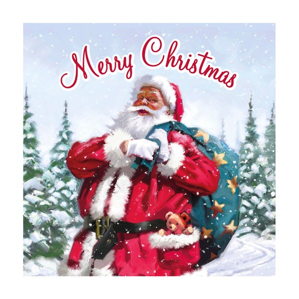Eurowrap Pack of 12 Assorted Christmas Cards Xmas Traditional Santa,