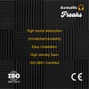 Acoustic Freaks 12 + 1 Pack Acoustic Foam Sound Absorbing