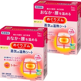 Megurythm Steam Heating Sheet, Stick to Inner Surface of Undergarment, 5 Sheets x 2 Packs Bulk Purchase