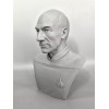 Star Trek The Next Generation Jean Luc Picard 3D Printed