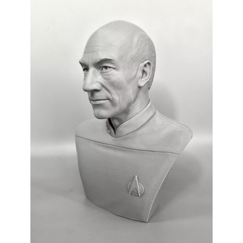 Star Trek The Next Generation Jean Luc Picard 3D Printed