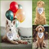 Happy Birthday Mommy Dog Bandana Pet Triangle Scarf for Large
