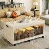 Raybee Large Capacity Storage Boxes 6 Wheels Giant Stackable Plastic