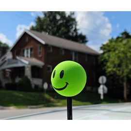 HappyBalls Happy Smiley Green Face Antenna Ball/Car Topper with Magnetic Antenna Topper Roof Stand (Car Magnet Buddy)