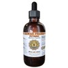 Nutmeg Liquid Extract, Organic Nutmeg (Myristica Fragrans) Tincture Herbal Supplement,