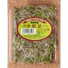 Sprout, 6 Types, 12 Pack Set