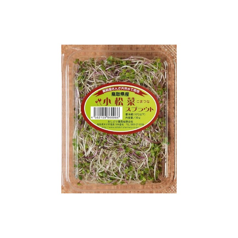 Sprout, 6 Types, 12 Pack Set