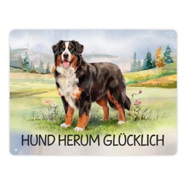 Bernese Mountain Dog in the Meadow Metal Sign XL in 21 x 28 cm with Saying Hund herum Glücklich Watercolour Design Shows Bernese Mountain Dog on Grassy Field