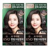 Ryo Uachae Stylish Gray Hair Cream 120g 4pcs Dark Brown