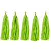 Tissue Paper Tassels Decorative Wall Hanging Tassel Garland Banner Green