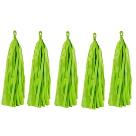 Tissue Paper Tassels Decorative Wall Hanging Tassel Garland Banner Green Tassels for Crafts Home Decoration Wedding Birthday Baby Shower Party Supplies Pack of 10