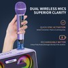 Karaoke Machine for Adults and Kids with 2 UHF Wireless