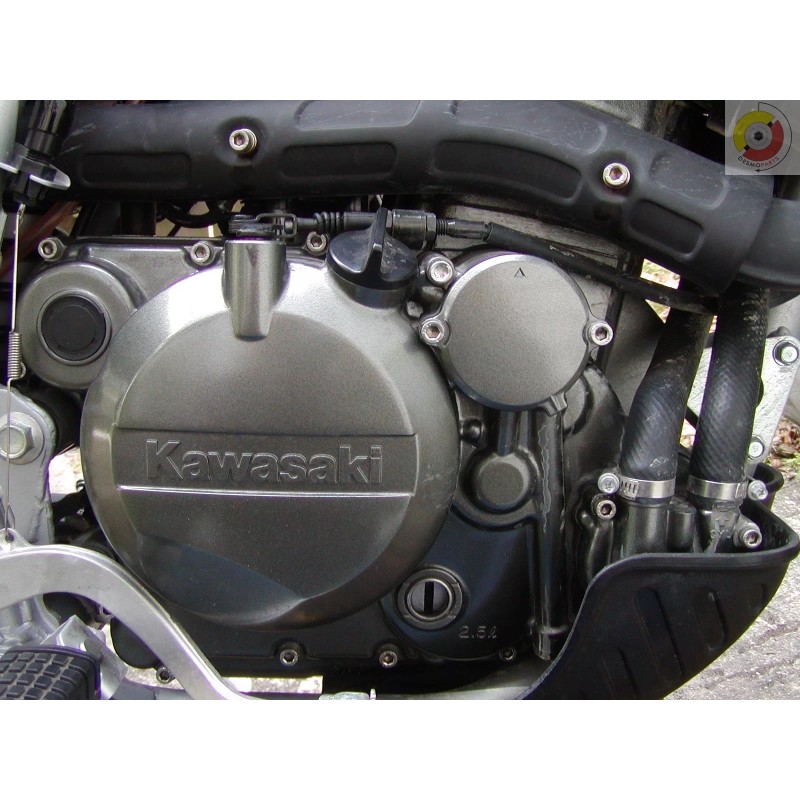 Desmoparts Kawasaki KLR650 Engine Cover Stainless Screw Kit with 41