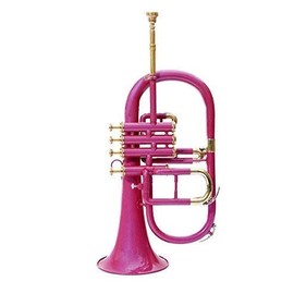 SM'Sai Musicals 4 Valve Flugel Horn With Mouthpiece And Hard Case For School Band Pink Flugel Horn BB Pitch Brass Musical Instrument For Orchestra Beginners Professionals For Kids Adults