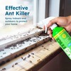 BugMD Ant Spray – Insect & Pest Spray Indoor Safe