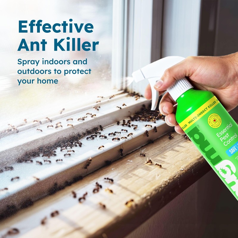 BugMD Ant Spray – Insect & Pest Spray Indoor Safe