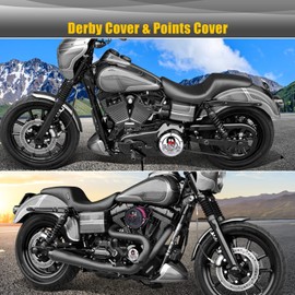 Sresk 3D Skull 5 Hole Derby Covers for Harley, Motorcycle Derby Timer Engine Timing Cover for Harley 1999-2014 Big Twin Cam EVO Touring Road King Electra Glide FLHR FLHX FXST Dyna (Chrome R)