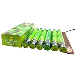 Eucalyptus and Mint Incense Sticks and Incense Stick Holder Bundle Insence Insense SreeVani Incense Sticks