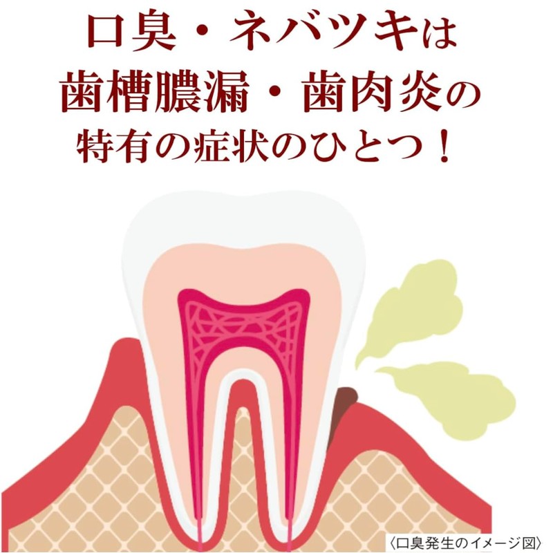 [Bulk Purchase] Sunstar Power Sensitive Sensitive Teeth Care Type Medicated